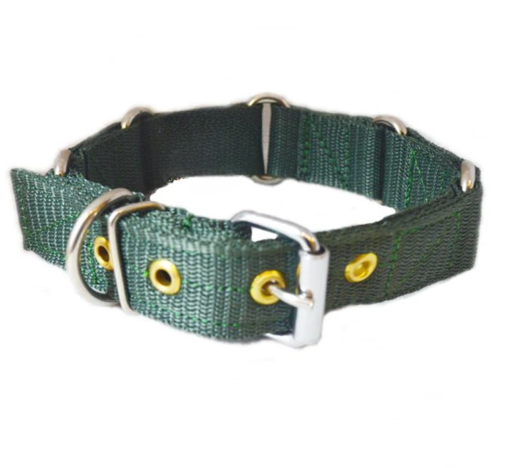 Heavy Duty Nylon Dog Collars