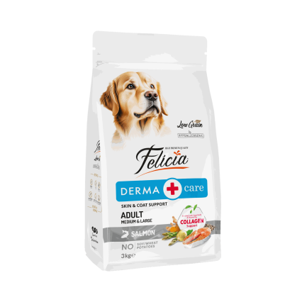 Felicia Derma Care Adult Salmon Dog Food for Medium and Large Breeds